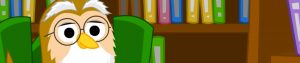 owl-in-library-05