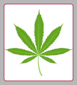 Marijuana Prevention