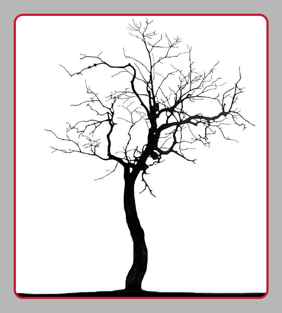 ELS_CoverOld_Substance-Abuse-