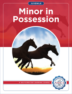 Minor in Possession